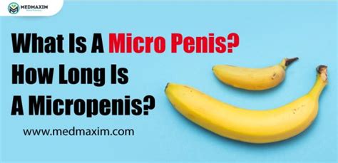 images of micro penis|Category:Micropenis .